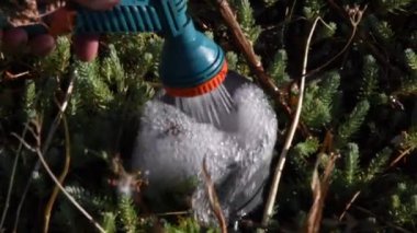 Bahçe hortumundan köpüklü ve köpüklü su akar. Bahçe sulama kavramı