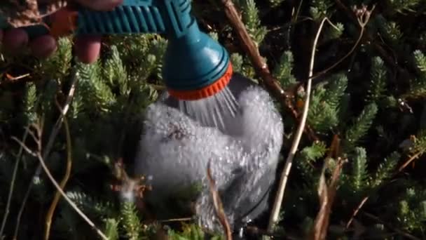 Wasser strömt mit Blasen und Schaum aus dem Gartenschlauch. Gartenbewässerungskonzept — Stockvideo
