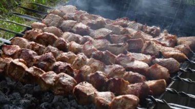 Izgarada ızgara kebaplar mangal mangalında döner. Açık havada piknik yemekleri.