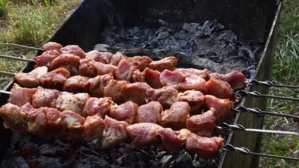 Syrové maso na špejlích na grilu z dřevěného uhlí s horkými uhlíky — Stock video