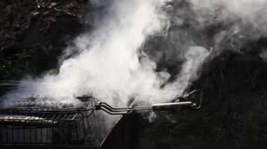 Barbekü ızgarasının üzerinde bulanık beyaz duman. Izgarada ızgara balığın piknik yemeği