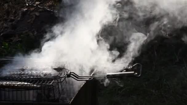 Barbekü ızgarasının üzerinde bulanık beyaz duman. Izgarada ızgara balığın piknik yemeği — Stok video