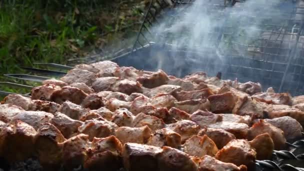 Білий густий дим над смачним смаженим свинячим м'ясом на шампурах на вугільному грилі — стокове відео