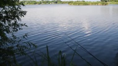 Gölün sakin su yüzeyinde uzun balıkçı çubukları. Balıkçılık hobisi