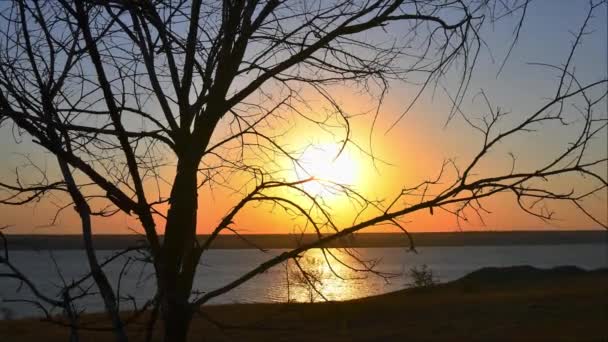 Tramonto Autunnale Sulla Riva Del Fiume Time Lapse Attraverso Rami — Video Stock