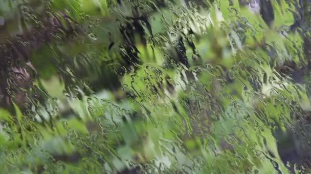 Gotas Lluvia Claras Caen Fluyen Sobre Superficie Vidrio Del Parabrisas — Vídeo de stock