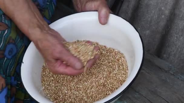 Wrinkled hand of granny hand pours raw buckwheat grains into old white bowl — Stock Video