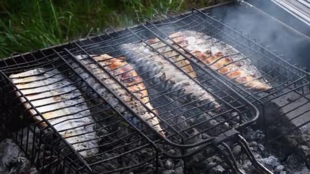 Pesce comber sulla griglia barbecue con fumo che sale dal braciere — Video Stock