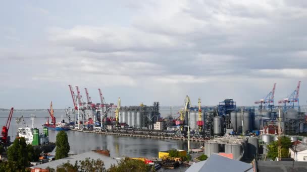 Time Lapse Video Puerto Marino Terminal Elevador Grano Vista Industrial — Vídeo de stock