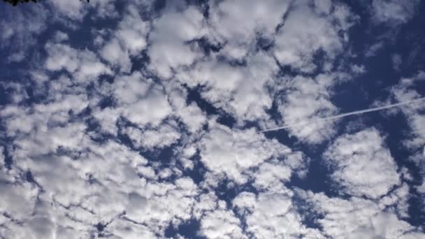 Aviones volando alto en el cielo azul con delgada estela blanca detrás de nubes de cúmulos esponjosas — Vídeos de Stock