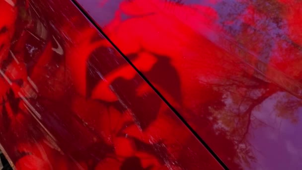 Piros esztétikai háttér elmosódott mozgás árnyékok — Stock videók