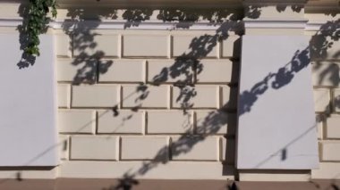 Beyaz kolonları ve tırmanan bitki dallarının gölgeleriyle zarif bir duvar. Sağa kaydır