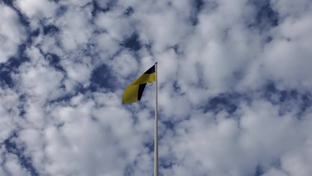 Ukraińska flaga trzepocze w wietrze na zachmurzonym tle nieba w słoneczny dzień — Wideo stockowe