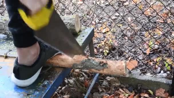 Man using manual jigsaw to cut firewood log with rustic background — Stock Video
