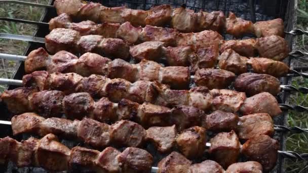 Carne alla griglia ruotante su spiedini. Shish kebab fritto sulla griglia a carbone — Video Stock