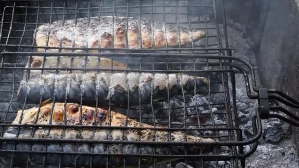 Primer plano de sabrosa parrilla de pescado en el humo — Vídeo de stock
