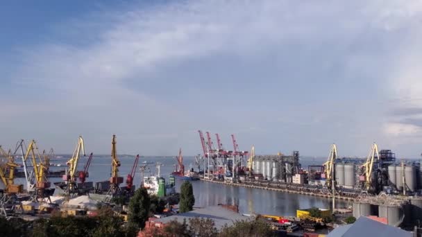 Hafenhafen Mit Getreideaufzugterminal Und Containerbereich Pan Rechts Industriellen Meerblick Unter — Stockvideo