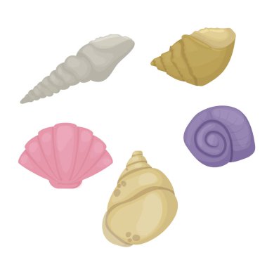 Deniz kabuğu deniz plaj doğa renkli tropikal deniz kabuklarını sualtı illüstrasyon vektör. Yaz doğa su egzotik sarmal yumuşakça.