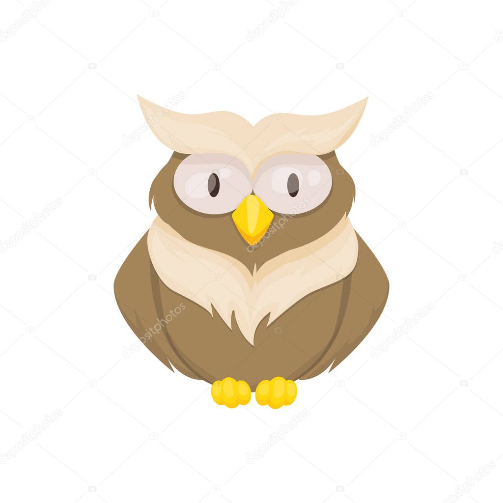 Owl bird animal vector character wild childish or baby fun forrest animal illustration.