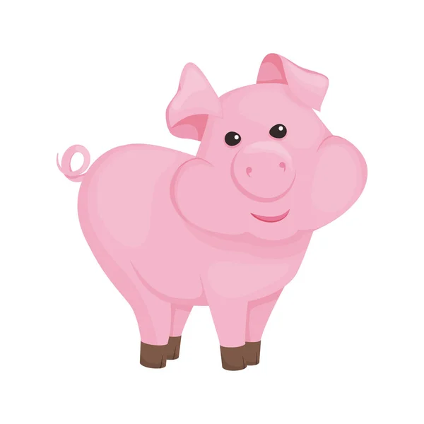 Pig cartoon pink piggy animal character vector illustration. — Stock Vector