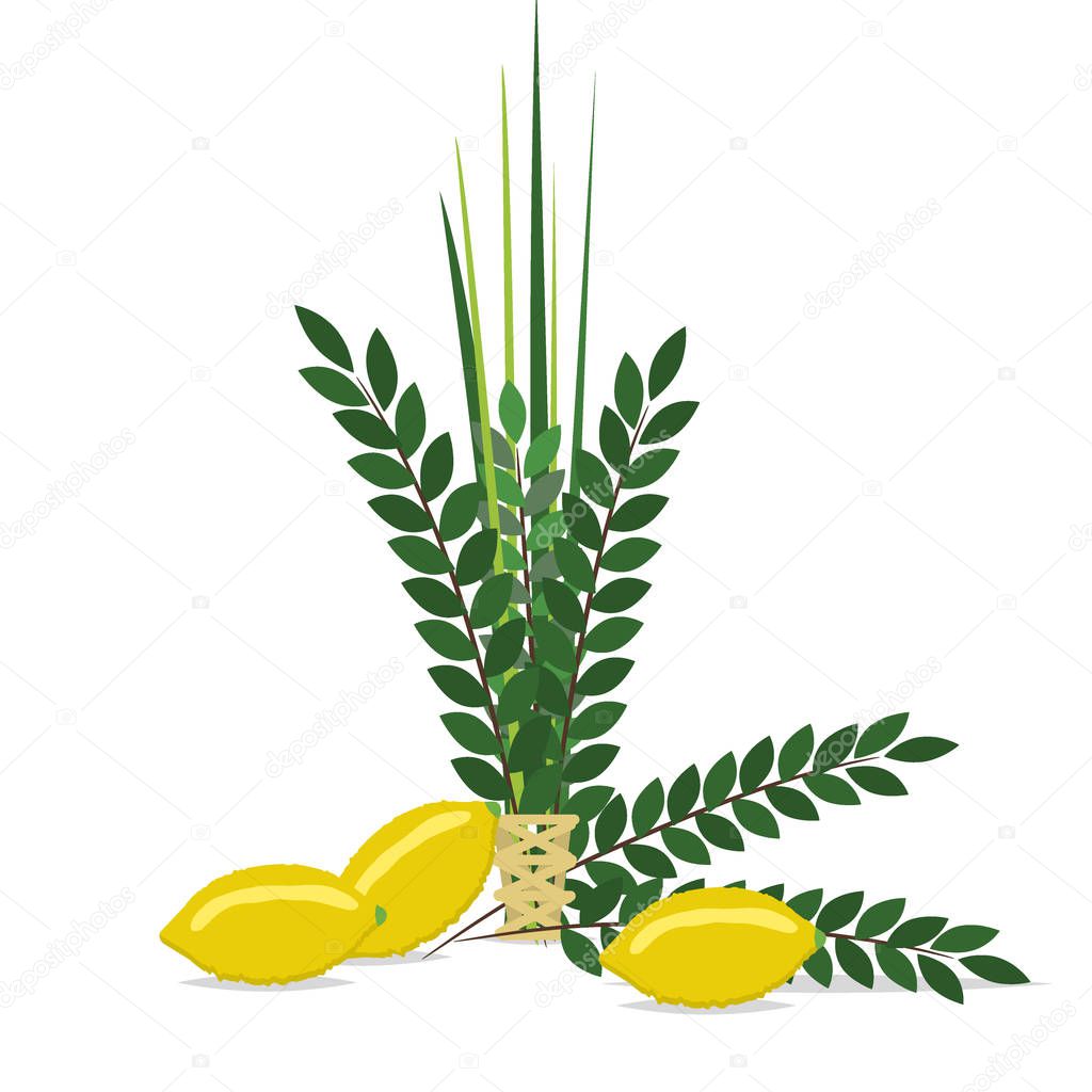 Jewish festival of Sukkot traditional symbols judaism religion festival citrus willow vector illustration.