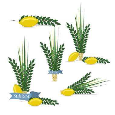 Sukkot geleneksel semboller Yahudilik dini festival narenciye willow vektör çizim Yahudi Festivali.