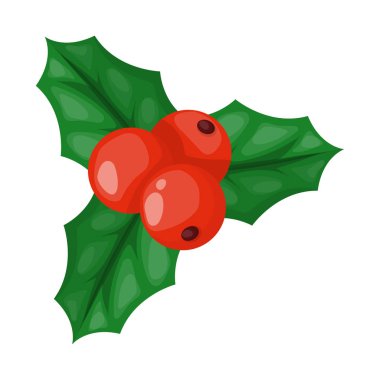 Holly berry geleneksel kış şube üzerinde beyaz arka plan vektör illüstrasyon izole Noel dekorasyon tatil yeşil yaprak.
