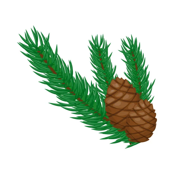 Pine gren med kottar på en vit bakgrund vektorillustration. — Stock vektor