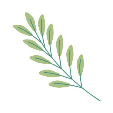 Beyaz arkaplanda yeşil yaprak ağacı