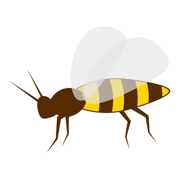 Abelha Isolada Branco Abelha Doce Animal Amarelo Pequeno Insecto Voador —  Vetores de Stock