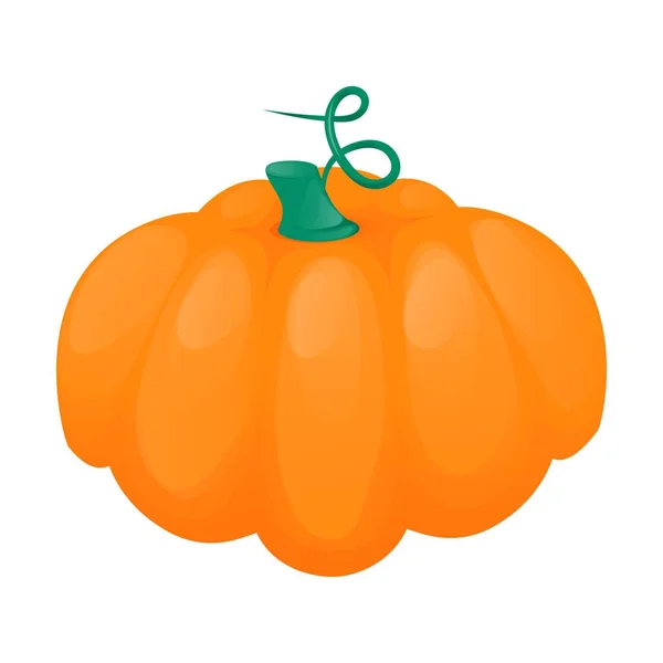 Scary Jack Linterna Calabaza Halloween Con Luz Vela Interior — Vector de stock