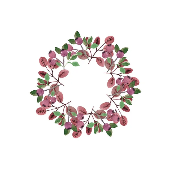 Цветочный Венок Круглые Границы Трав Цветов Ручной Работы Травяная Рама — стоковое фото