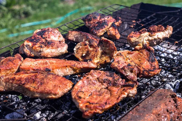 Rauw Vlees Grill Bak Het Vlees — Stockfoto