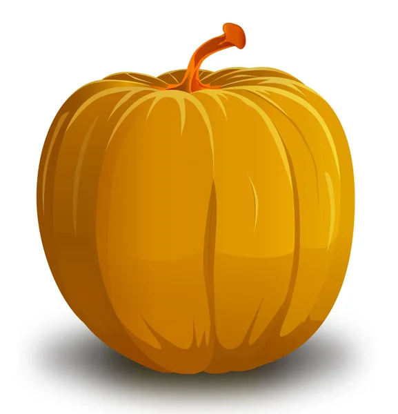 Calabaza Aislada Blanco Ilustración Vectorial — Archivo Imágenes Vectoriales