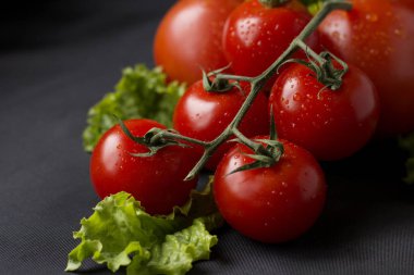 Siyah bir zemin üzerine taze sebze. Siyah bir zemin üzerine yeşillikleri ile taze domates.