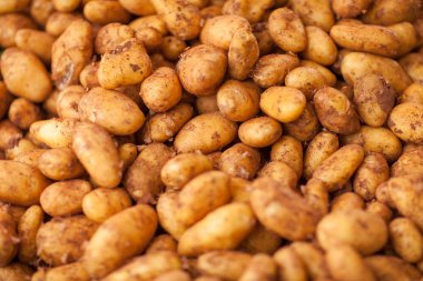 Haftalık markette taze patates arka plan olarak kullanılabilir