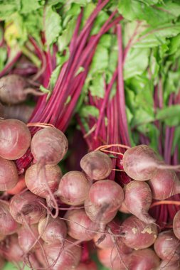 çok güzel, taze hasat pancar haftalık piyasada arka plan olarak kullanılabilir