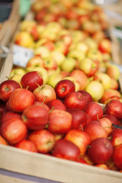 Färsk Läckra Röda Och Gula Äpplen Den Veckovisa Marknaden Kan — Stockfoto