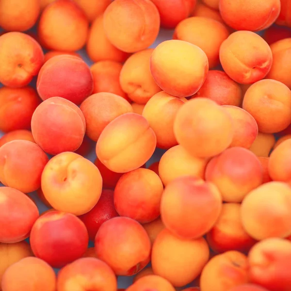 Fresh Bright Yellow Plums Mirabelles Weekly Market Can Used Background — Stock Photo, Image