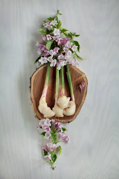 Raiz Gengibre Delicioso Fresco Placa Madeira Pode Ser Usado Como — Fotografia de Stock