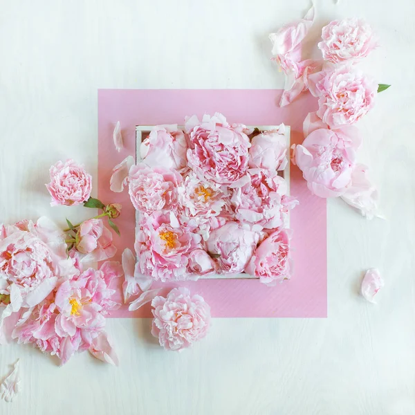 Krásné Růžové Růžové Pivoňky Zdobené Bílé Dřevo Stůl Lze Použít — Stock fotografie