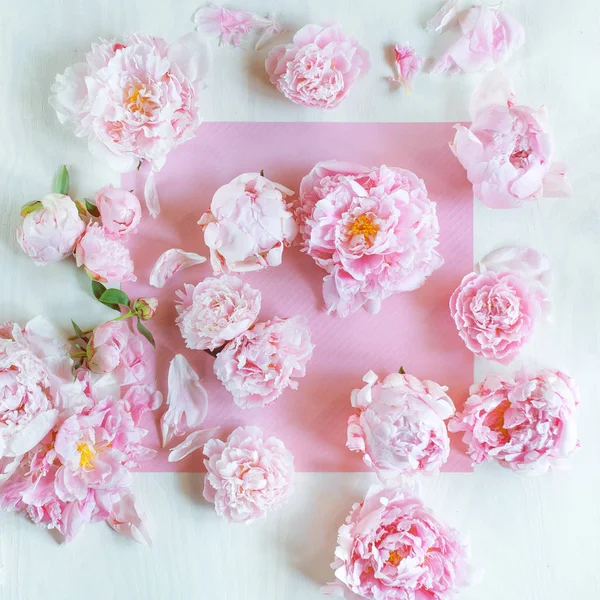 Krásné Růžové Růžové Pivoňky Zdobené Bílé Dřevo Stůl Lze Použít — Stock fotografie
