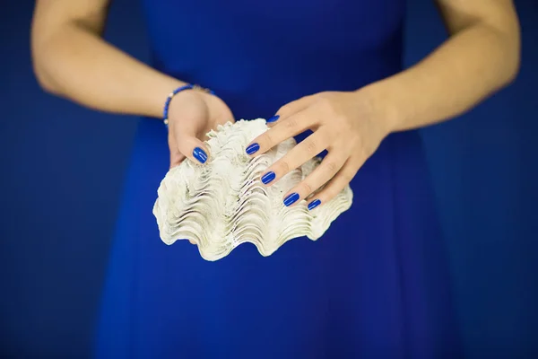 Beautiful woman hands with perfect nail polish holding giant clam, white shell on blue, can be used as background