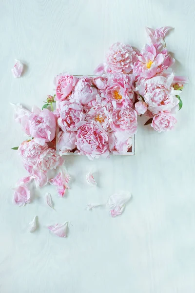 Mooie Roze Roze Pioenrozen Ingericht Witte Houten Tafel Kan Worden — Stockfoto