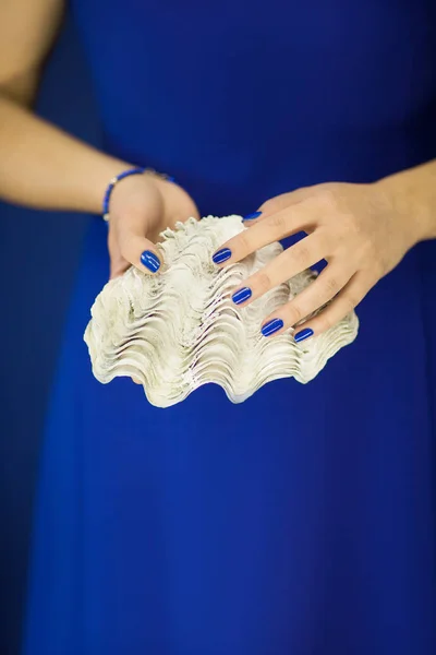 Beautiful woman hands with perfect nail polish holding giant clam, white shell on blue, can be used as background