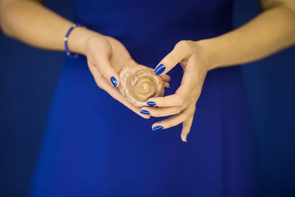 Schöne Frauenhände Mit Perfektem Nagellack Der Kleine Schneckenhäuser Vor Blauem — Stockfoto