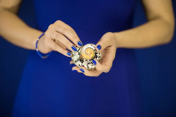 Belas Mãos Mulher Com Esmalte Perfeito Segurando Pouca Concha Caracol — Fotografia de Stock