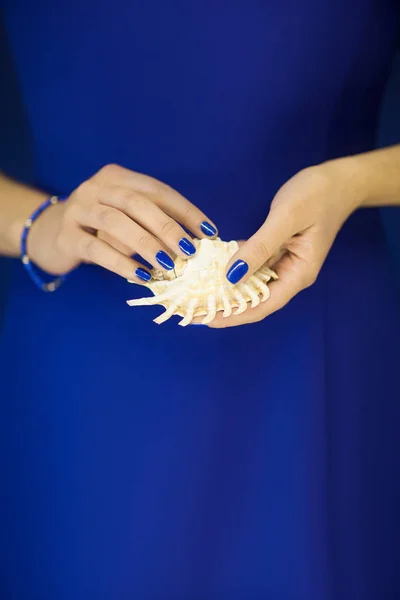 Όμορφη Γυναίκα Χέρια Τέλειες Μπλε Βερνίκι Νυχιών Κρατώντας Λίγο Κέλυφος — Φωτογραφία Αρχείου