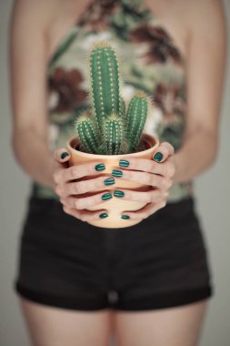 Mükemmel yeşil oje ile bir kaktüs holding kadın eller arka plan olarak kullanılabilir