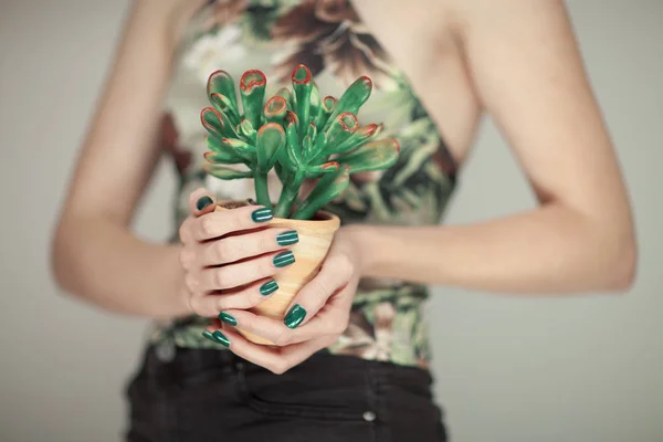 Woman Hands Holding Succulent Plant Perfect Green Nail Polish Can — Stock Photo, Image